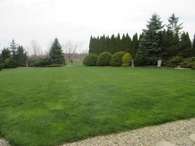 2878 South Elba Road Lapeer, MI 48446 - Photo 46 of 52 Back Yard View 2.JPG