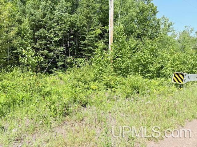 8690 Freda Road Atlantic Mine, MI 49905 - Photo 13 of 23 Gallery Image 13