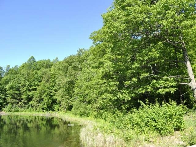 W1459 Lon Basco Lane Road Gleason, WI 54435 - Photo 14 of 20 Gallery Image 14