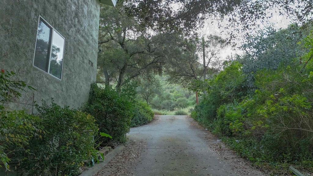 9237 Harmony Grove Road Escondido, CA 92029 - Photo 11 of 56 a view of a forest with trees in front of it