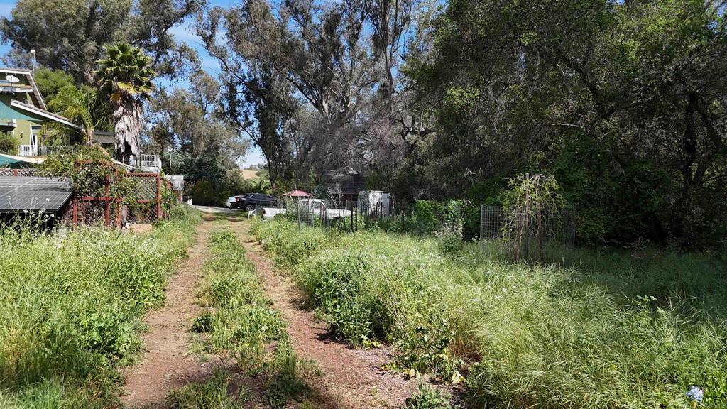 9237 Harmony Grove Road Escondido, CA 92029 - Photo 17 of 56 a big yard with lots of green space and deers