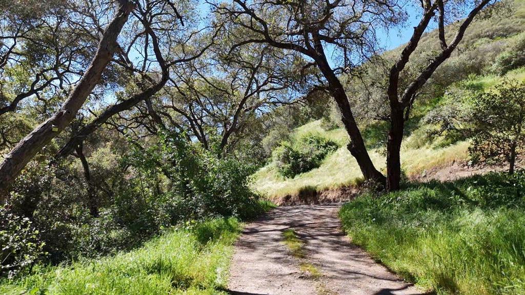 9237 Harmony Grove Road Escondido, CA 92029 - Photo 18 of 56 a backyard of a house with lots of green space