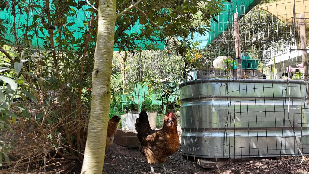 9237 Harmony Grove Road Escondido, CA 92029 - Photo 3 of 56 a small white building with a trees in the background