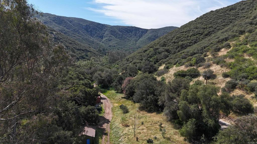 9237 Harmony Grove Road Escondido, CA 92029 - Photo 33 of 56 a view of a forest with mountains in the background
