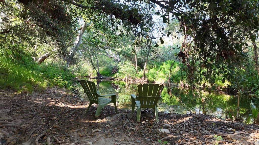 9237 Harmony Grove Road Escondido, CA 92029 - Photo 4 of 56 a view of a yard with plants and tree