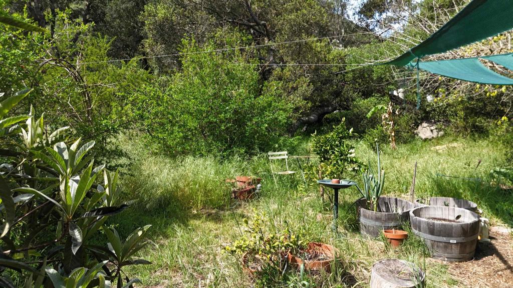 9237 Harmony Grove Road Escondido, CA 92029 - Photo 41 of 56 a bunch of trees and bushes