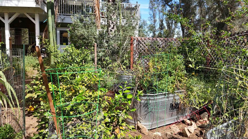 9237 Harmony Grove Road Escondido, CA 92029 - Photo 42 of 56 a view of a garden