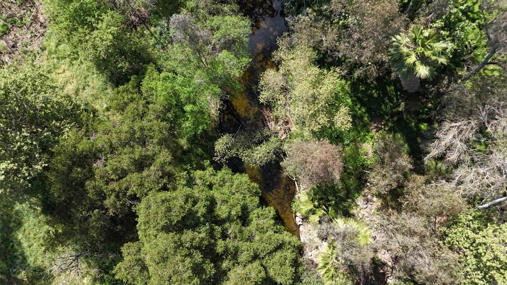 9237 Harmony Grove Road Escondido, CA 92029 - Photo 45 of 56 an aerial view of residential houses with outdoor space and trees