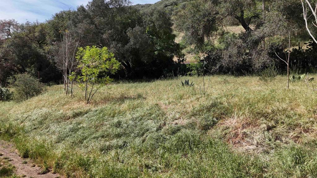 9237 Harmony Grove Road Escondido, CA 92029 - Photo 47 of 56 a view of outdoor space and trees