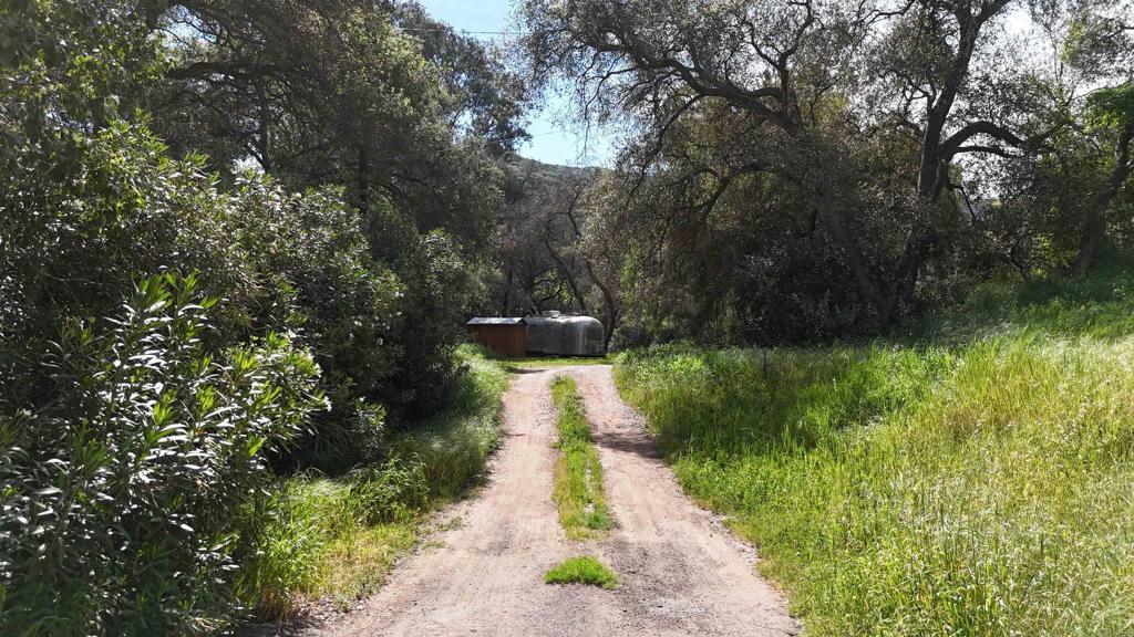 9237 Harmony Grove Road Escondido, CA 92029 - Photo 48 of 56 a view of a pathway of a yard