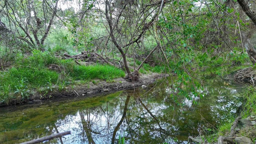 9237 Harmony Grove Road Escondido, CA 92029 - Photo 49 of 56 a view of a lake with top of house