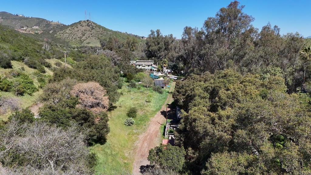 9237 Harmony Grove Road Escondido, CA 92029 - Photo 7 of 56 a view of a forest with a forest