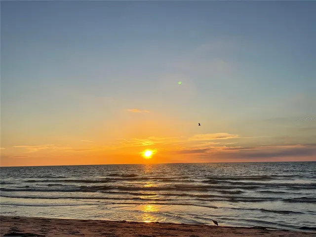 a view of city and ocean