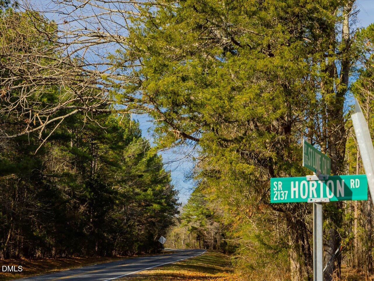786 Horton Road Goldston, NC 27252 - Photo 15 of 15 a street view with tall trees