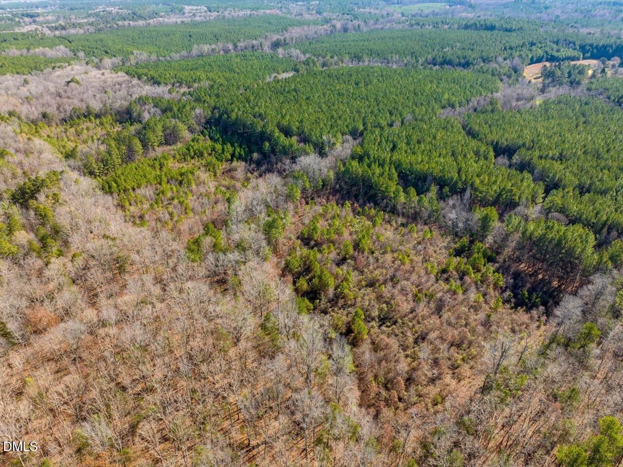 786 Horton Road Goldston, NC 27252 - Photo 3 of 15 a view of a yard with plants and large trees