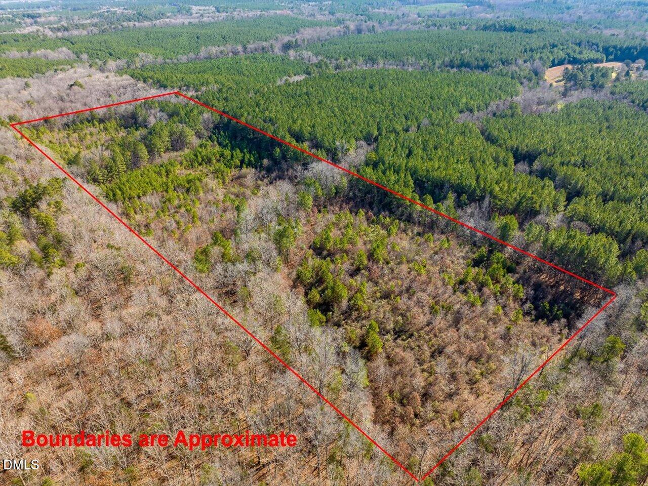 786 Horton Road Goldston, NC 27252 - Photo 4 of 15 a view of a garden with flowers and wooden fence