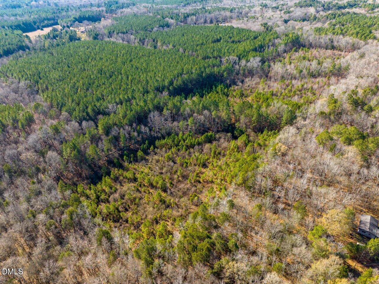 786 Horton Road Goldston, NC 27252 - Photo 5 of 15 a view of a garden with a tree