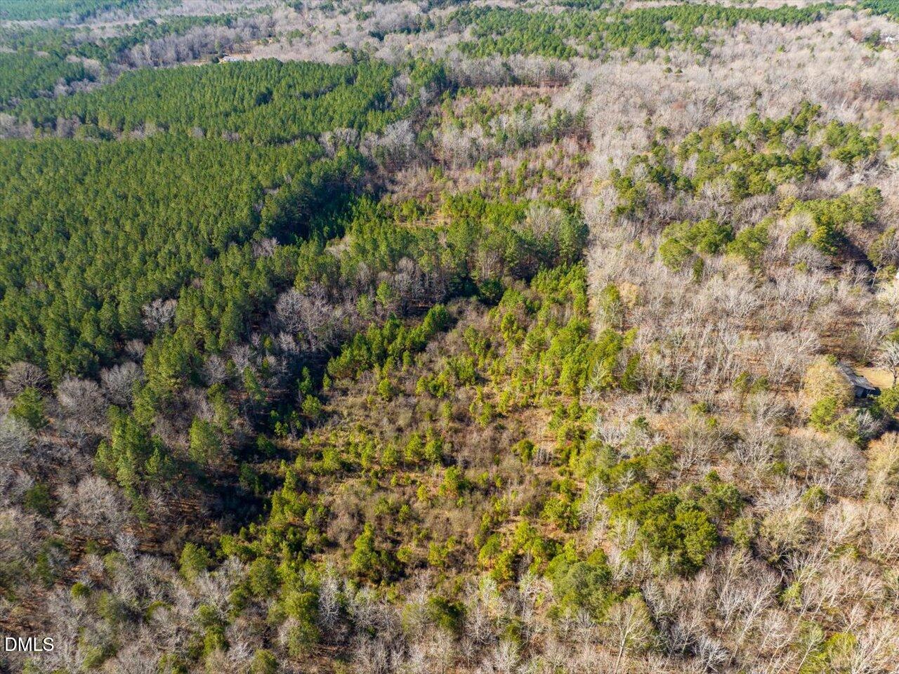 786 Horton Road Goldston, NC 27252 - Photo 6 of 15 a view of a forest with a tree