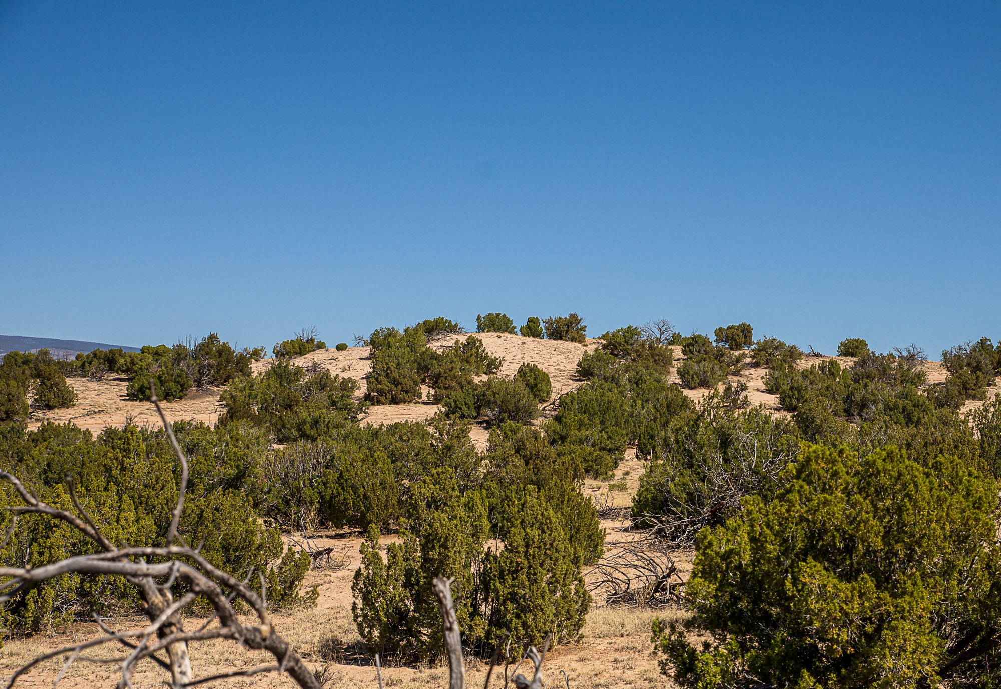 0 El Rito Estates Abiquiu, NM 87510 - Photo 35 of 56