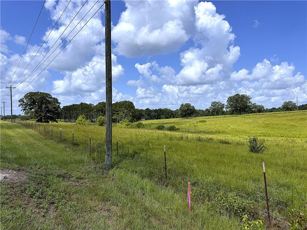 11.6-acres Lee Road Franklinton, LA 70438 - Photo 6 of 9