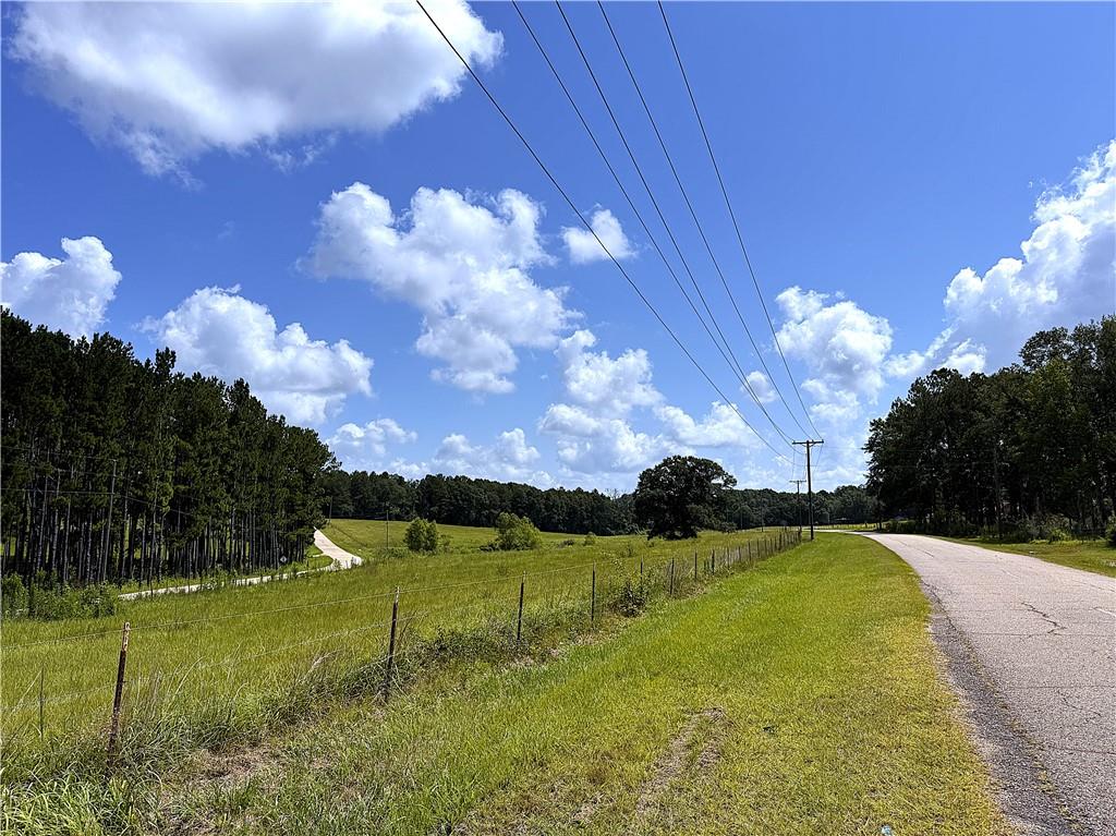 11.6-acres Lee Road Franklinton, LA 70438 - Photo 7 of 9