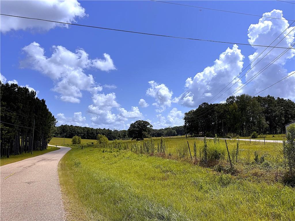 11.6-acres Lee Road Franklinton, LA 70438 - Photo 8 of 9