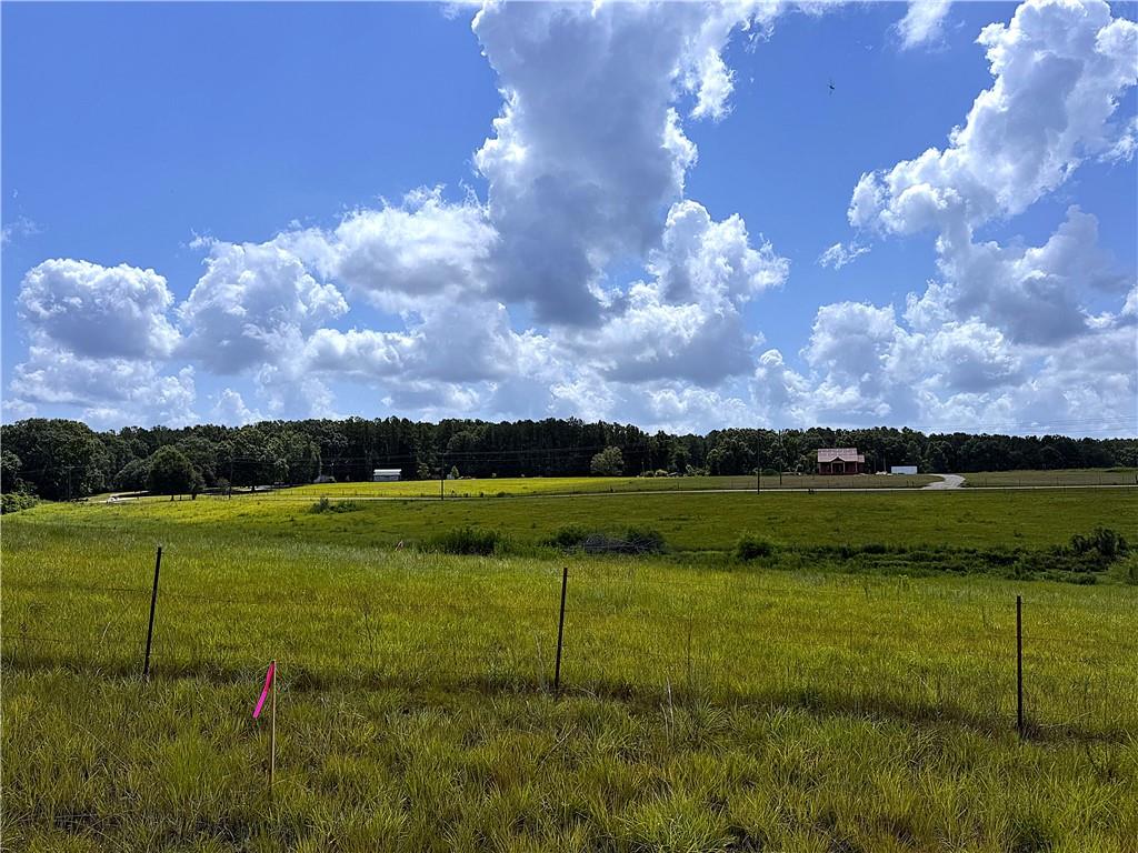 11.6-acres Lee Road Franklinton, LA 70438 - Photo 9 of 9
