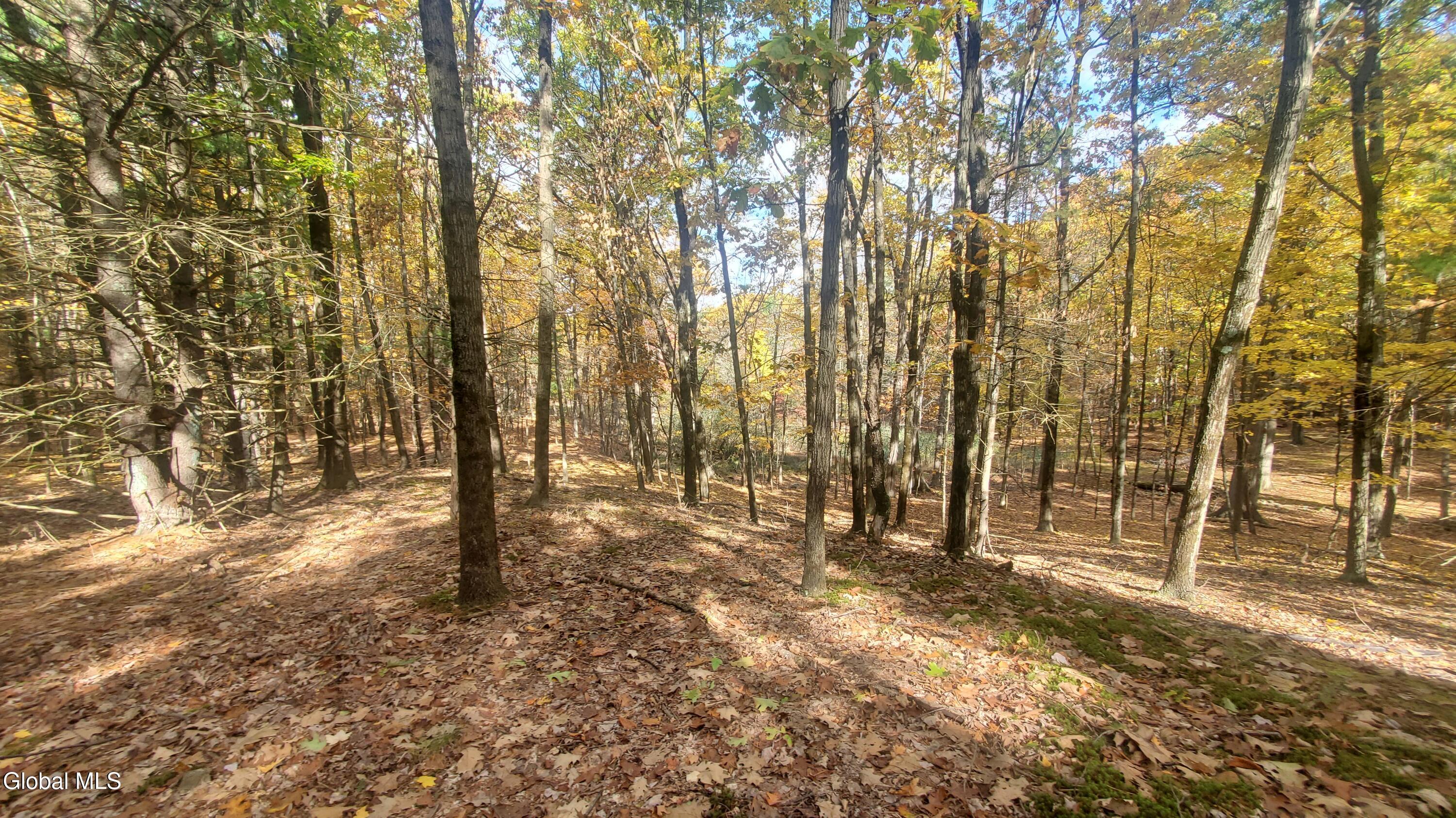 L25 Fischer Road Kinderhook, NY 12106 - Photo 7 of 30 LOTS OF OPTIONS
