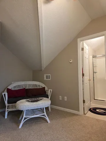 a living room with furniture a fireplace a floor to ceiling window and potted plants
