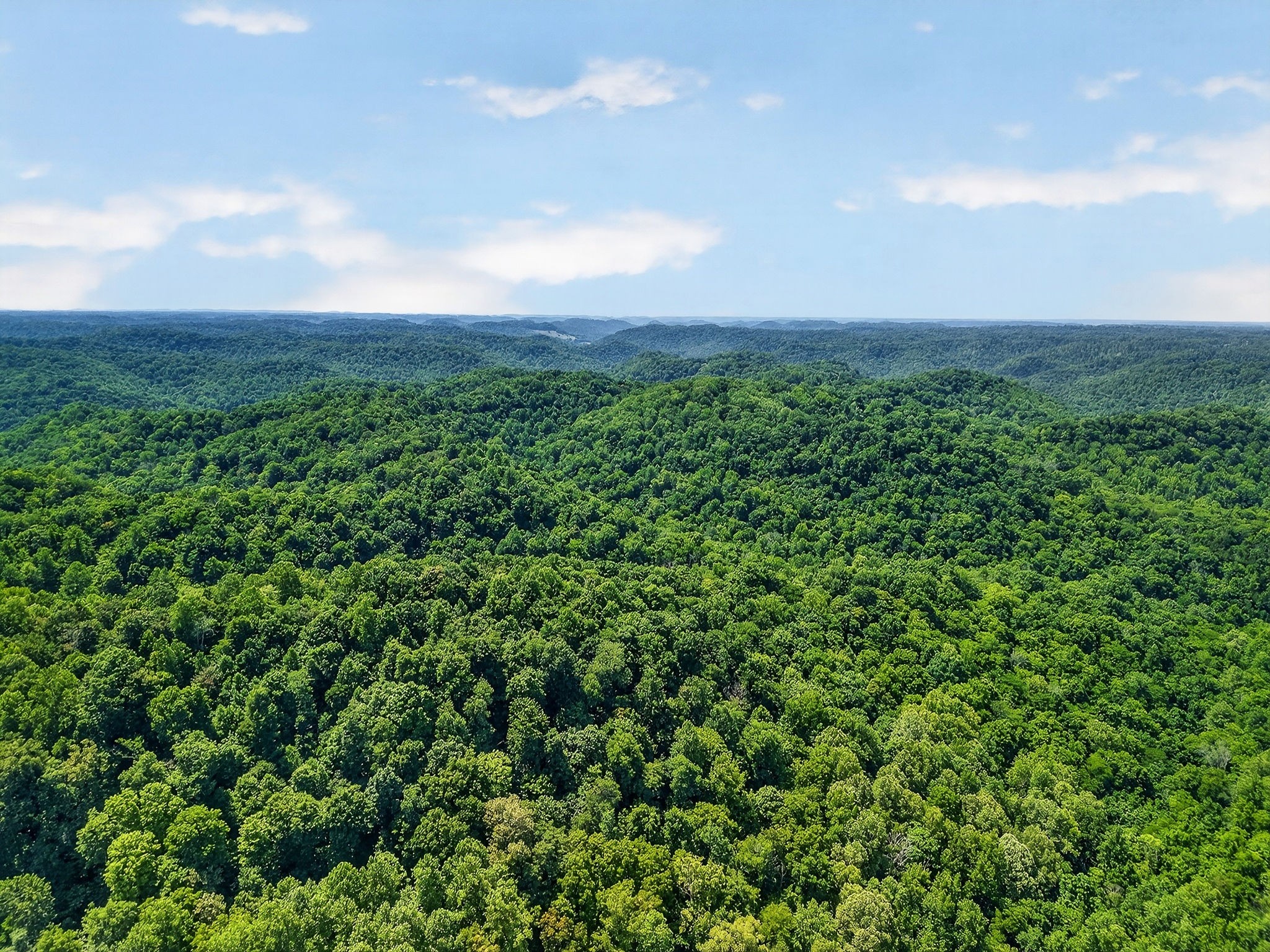 2926 Bryant Ridge Road Baxter, TN 38544 - Photo 50 of 64