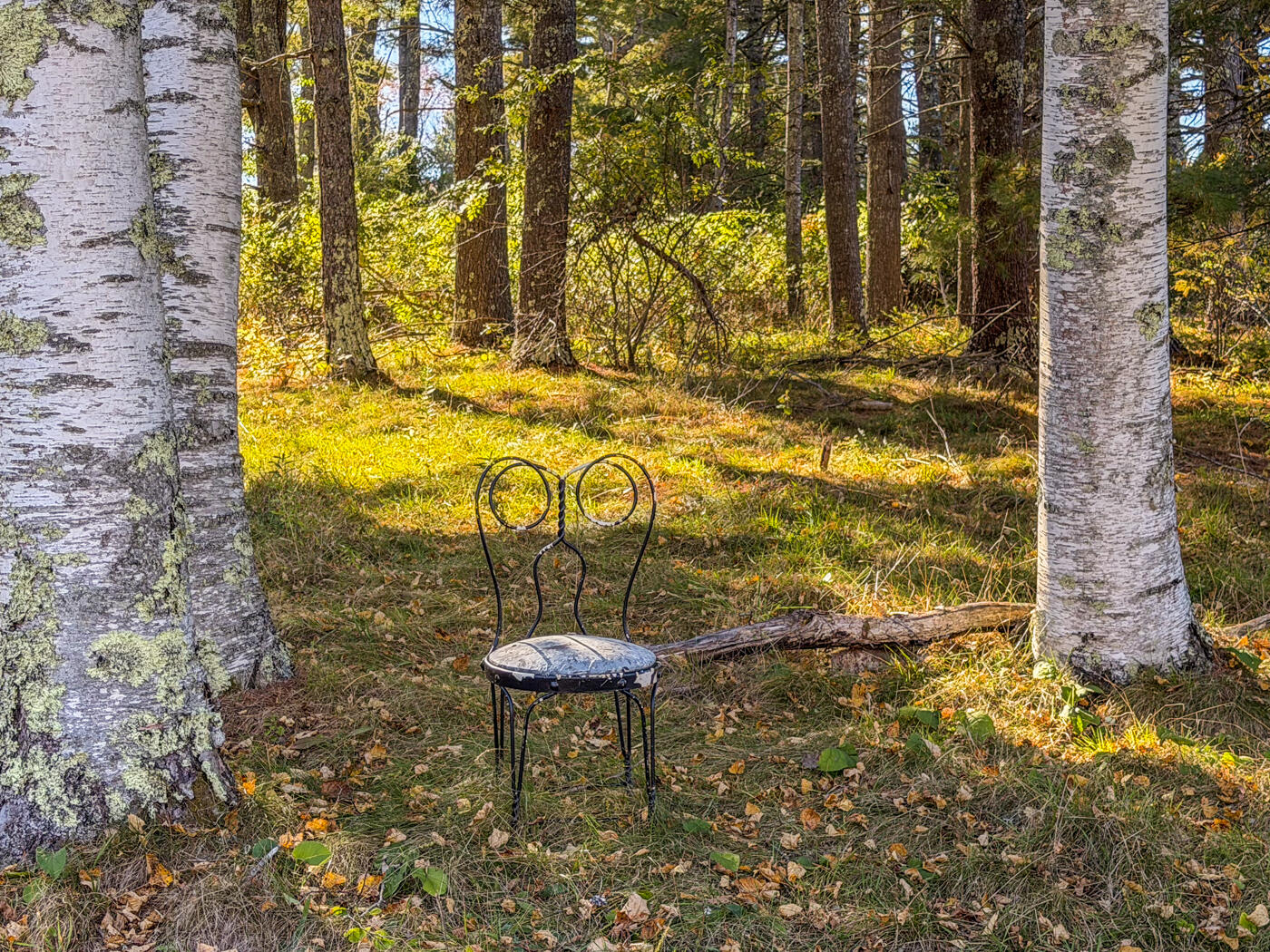 101 Marshall Shore Road Liberty, ME 04949 - Photo 22 of 25 IMG_0019
