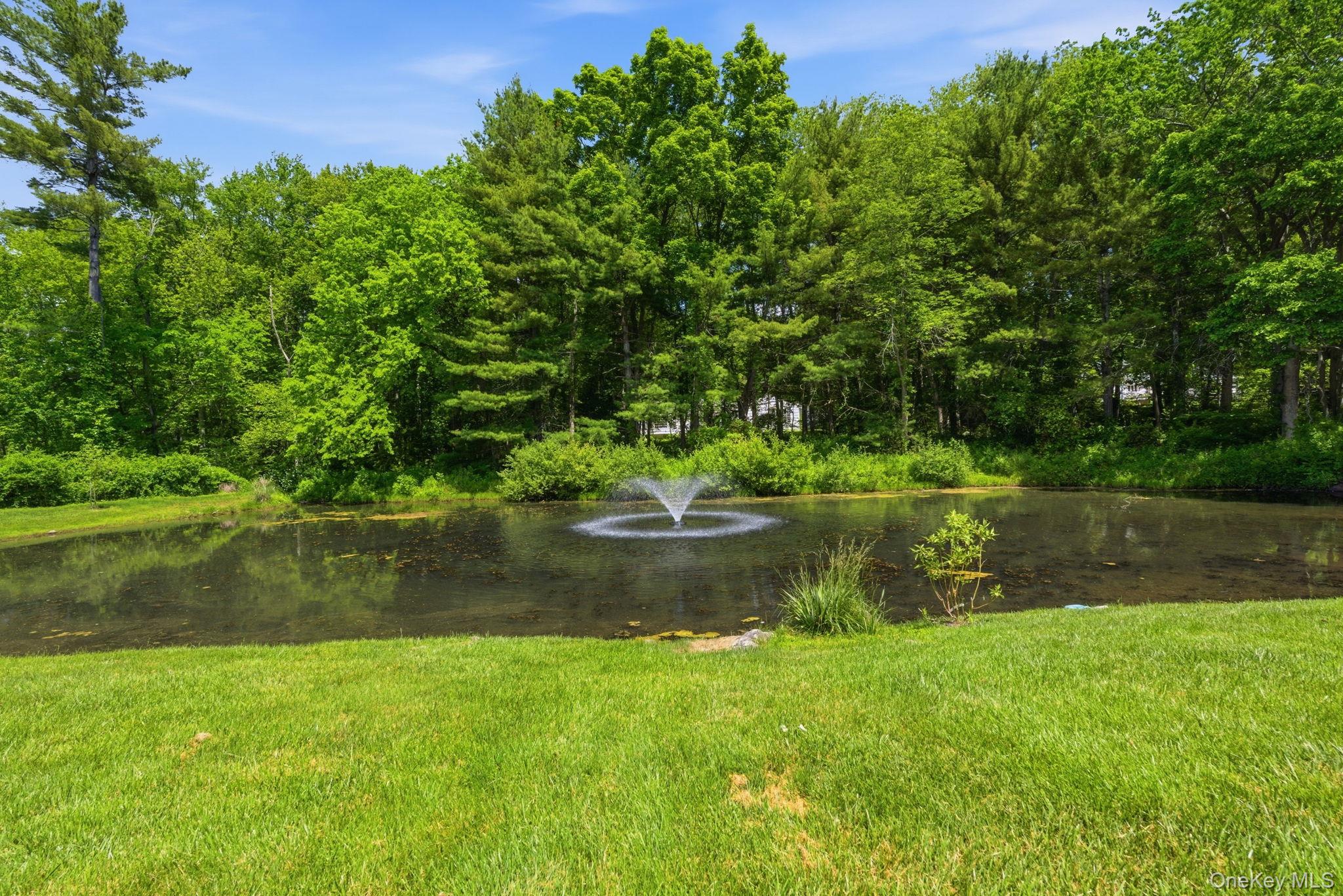 41 Pheasant Road Pound Ridge, NY 10576 - Photo 4 of 48