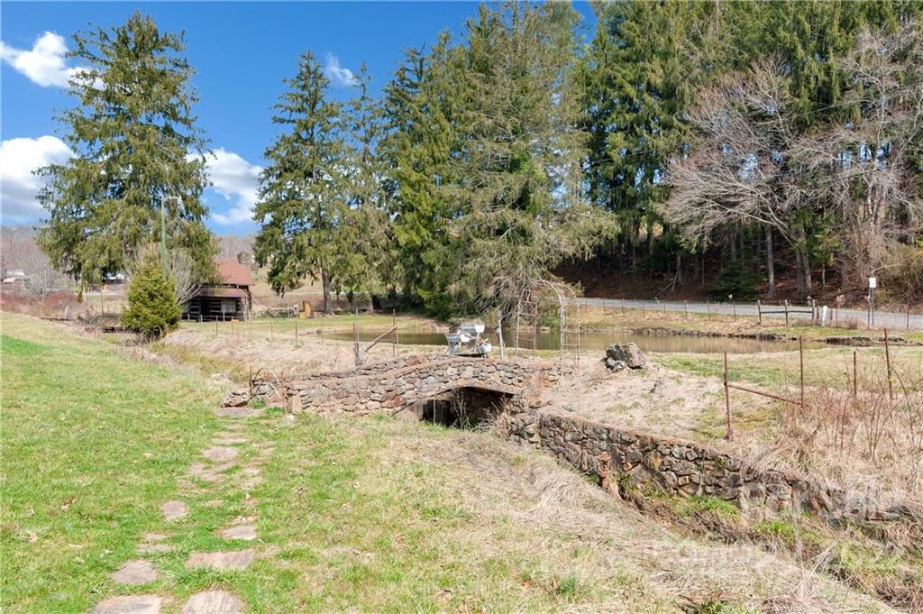1715 Thickety Road Clyde, NC 28721 - Photo 20 of 25 a view of a yard with trees