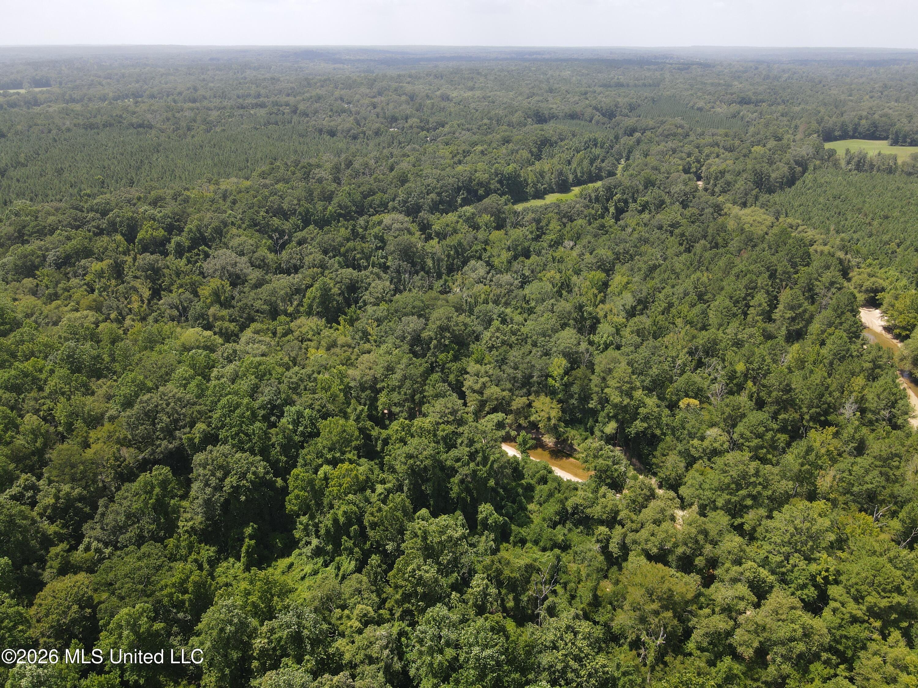 Oldenburg Road Roxie, MS 39661 - Photo 63 of 87 38087