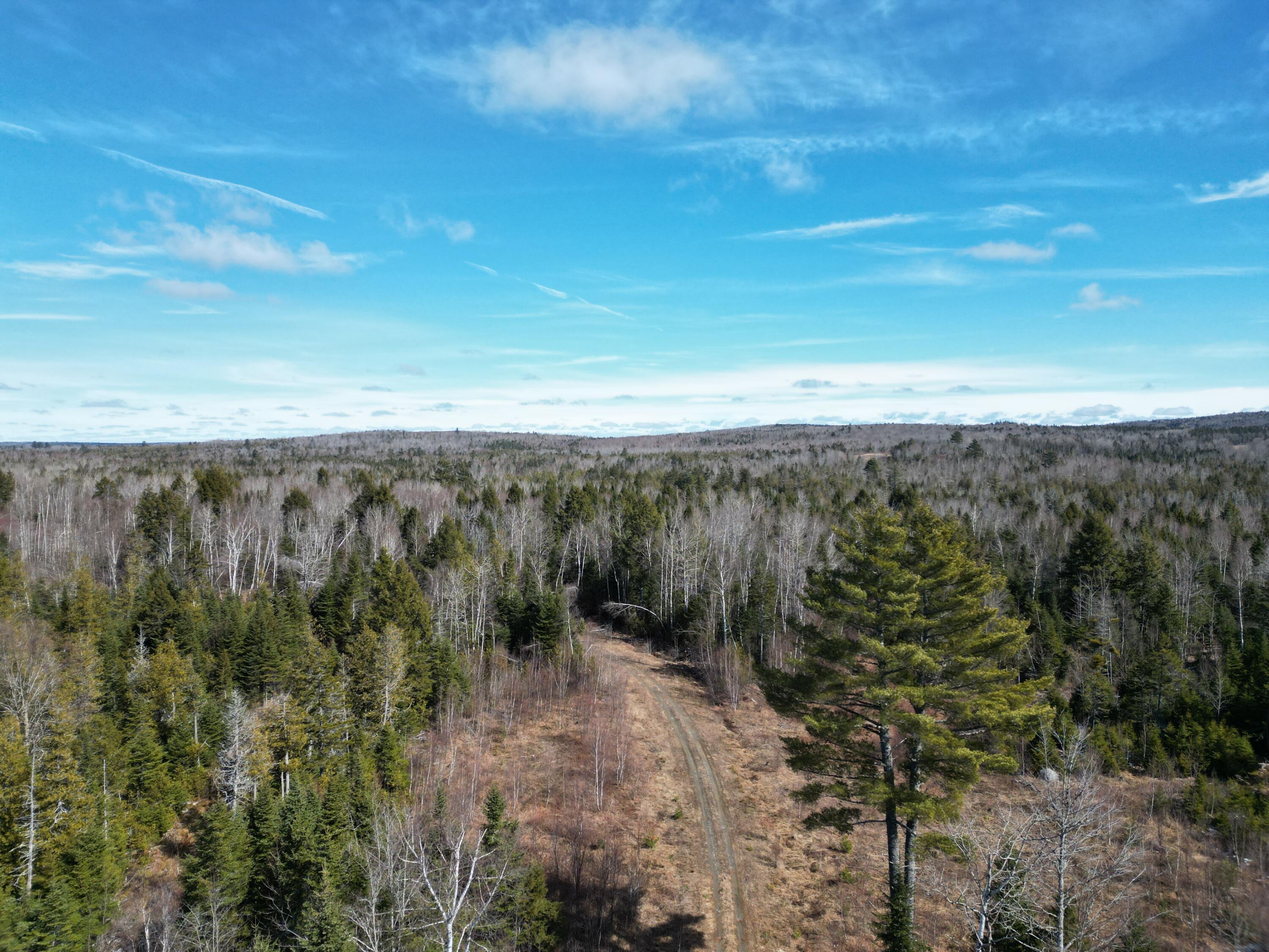 Lot 2-2 Main Road Carroll Plt, ME 04487 - Photo 24 of 25 DJI_0866