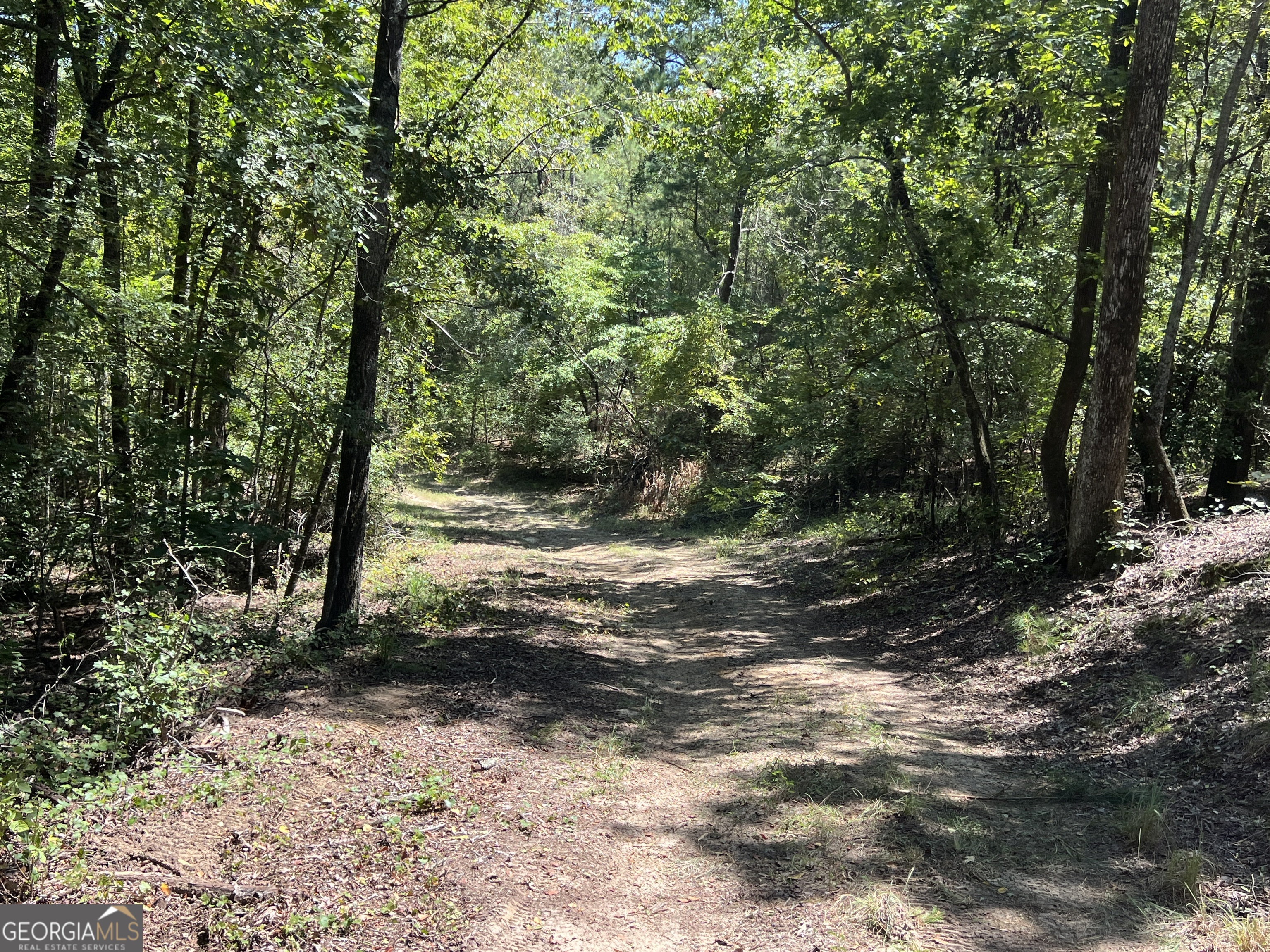 39.87-acres Irby Road Gibson, GA 30810 - Photo 15 of 56 Gallery Image 15