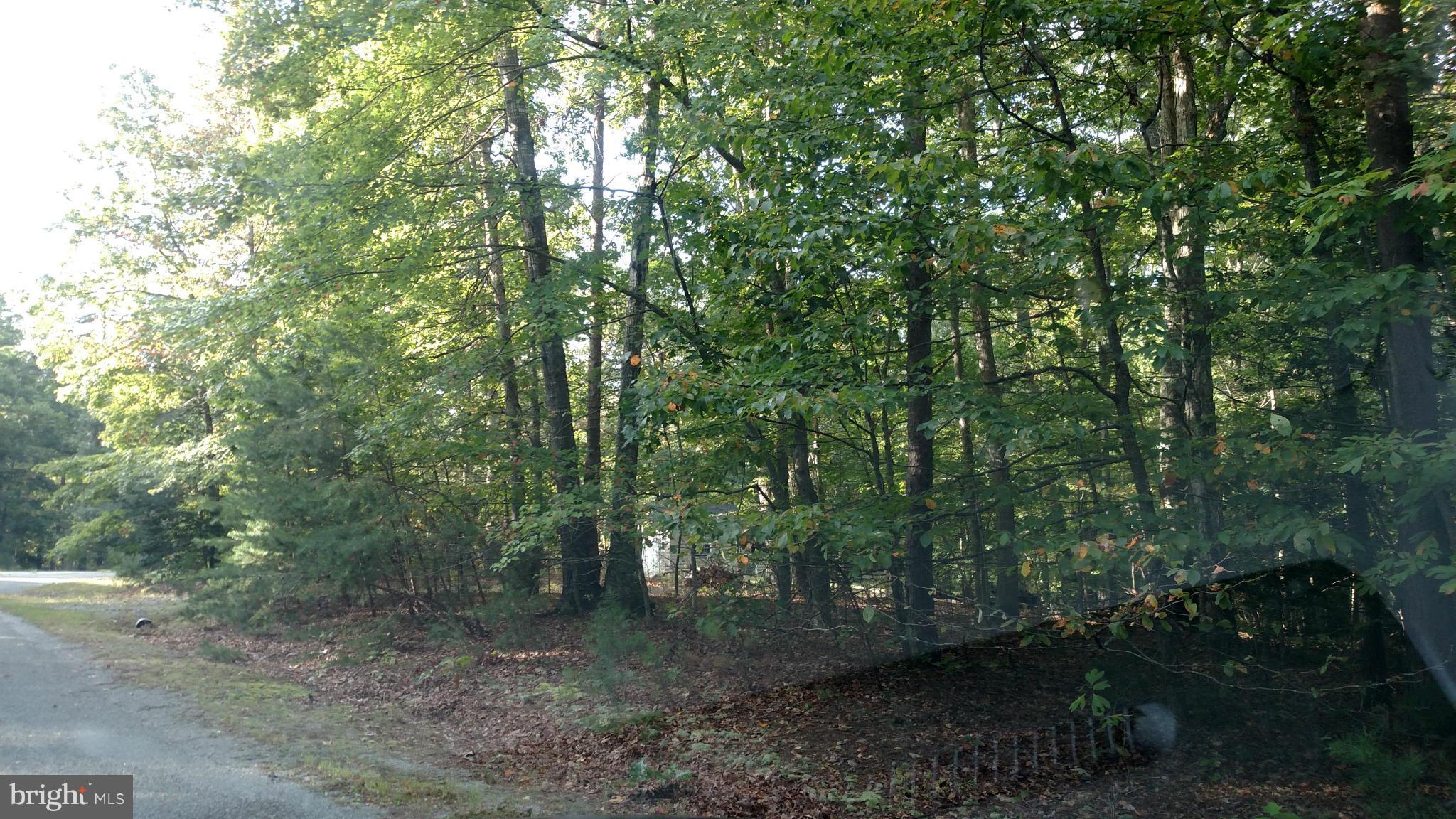 Mitchell Point Road Mineral, VA 23117 - Photo 1 of 1 Exterior (General)