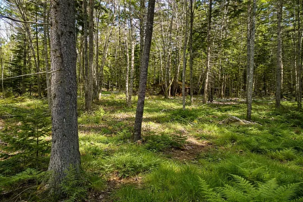 $169,000 | Lot E Lot E Fiske Lane, Pemaquid, ME 04558