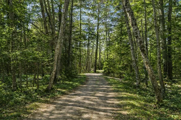 $169,000 | Lot E Lot E Fiske Lane, Pemaquid, ME 04558