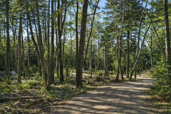 $169,000 | Lot E Lot E Fiske Lane, Pemaquid, ME 04558