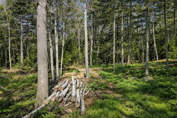 $169,000 | Lot E Lot E Fiske Lane, Pemaquid, ME 04558