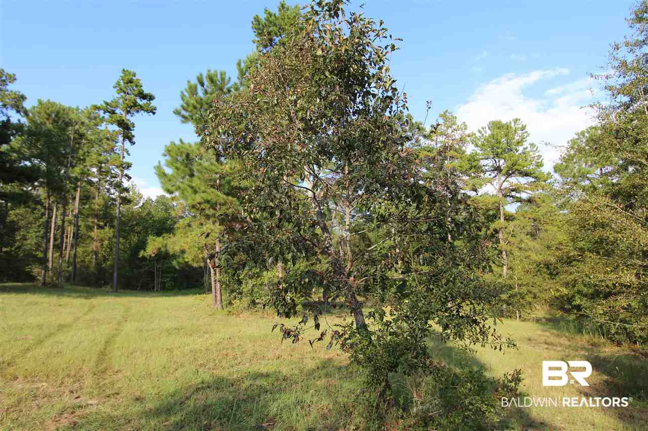 794 Dry Lake Road Luverne, AL 36049 - Photo 37 of 48 Pasture
