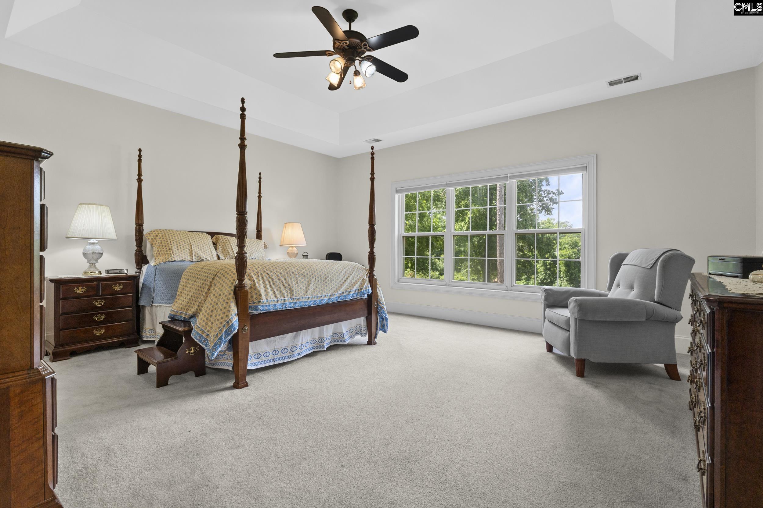 413 Oxenbridge Way Chapin, SC 29036 - Photo 18 of 51
