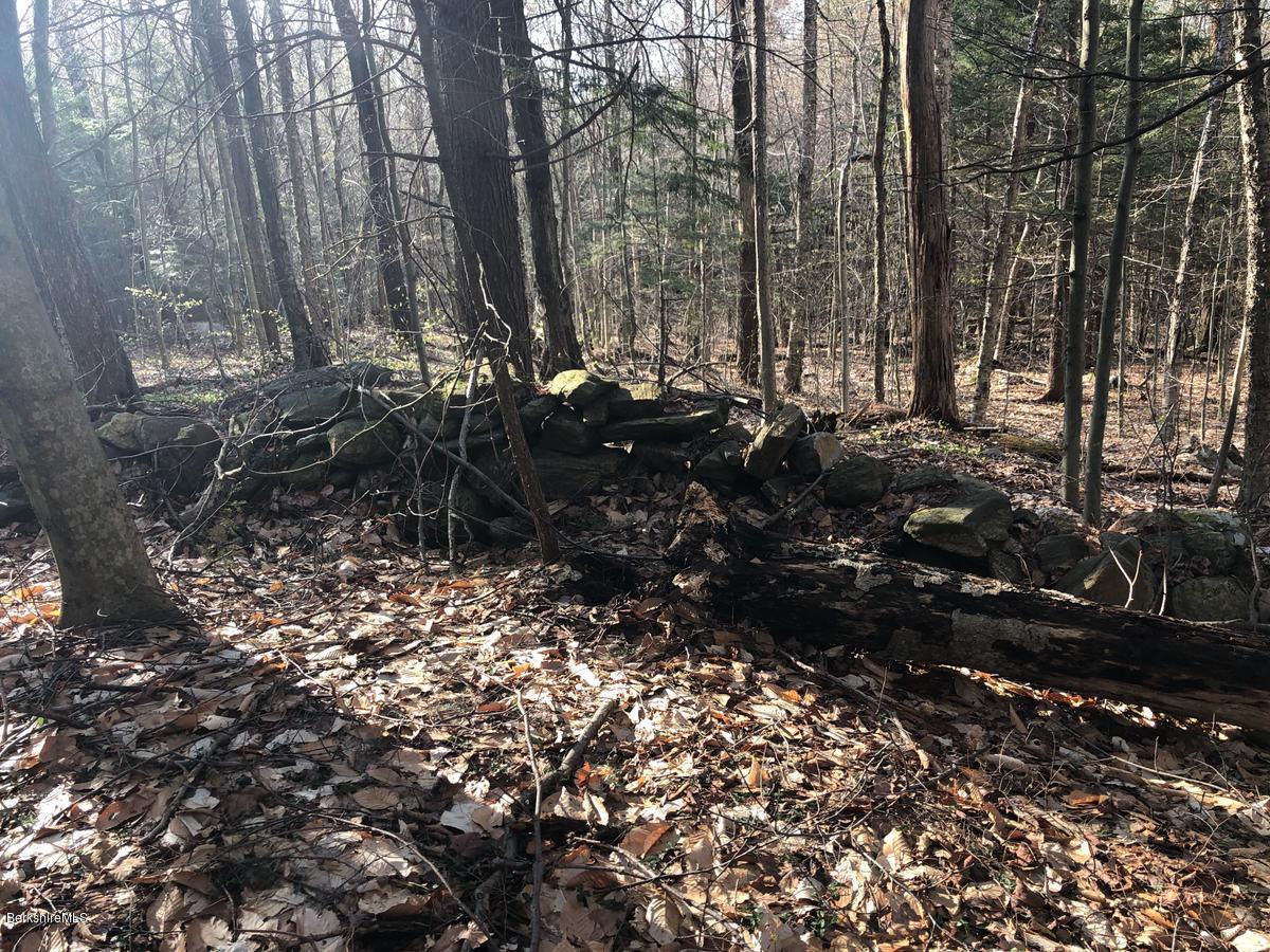 0 Dimmock Road Otis, MA 01253 - Photo 4 of 9 4stonewalls
