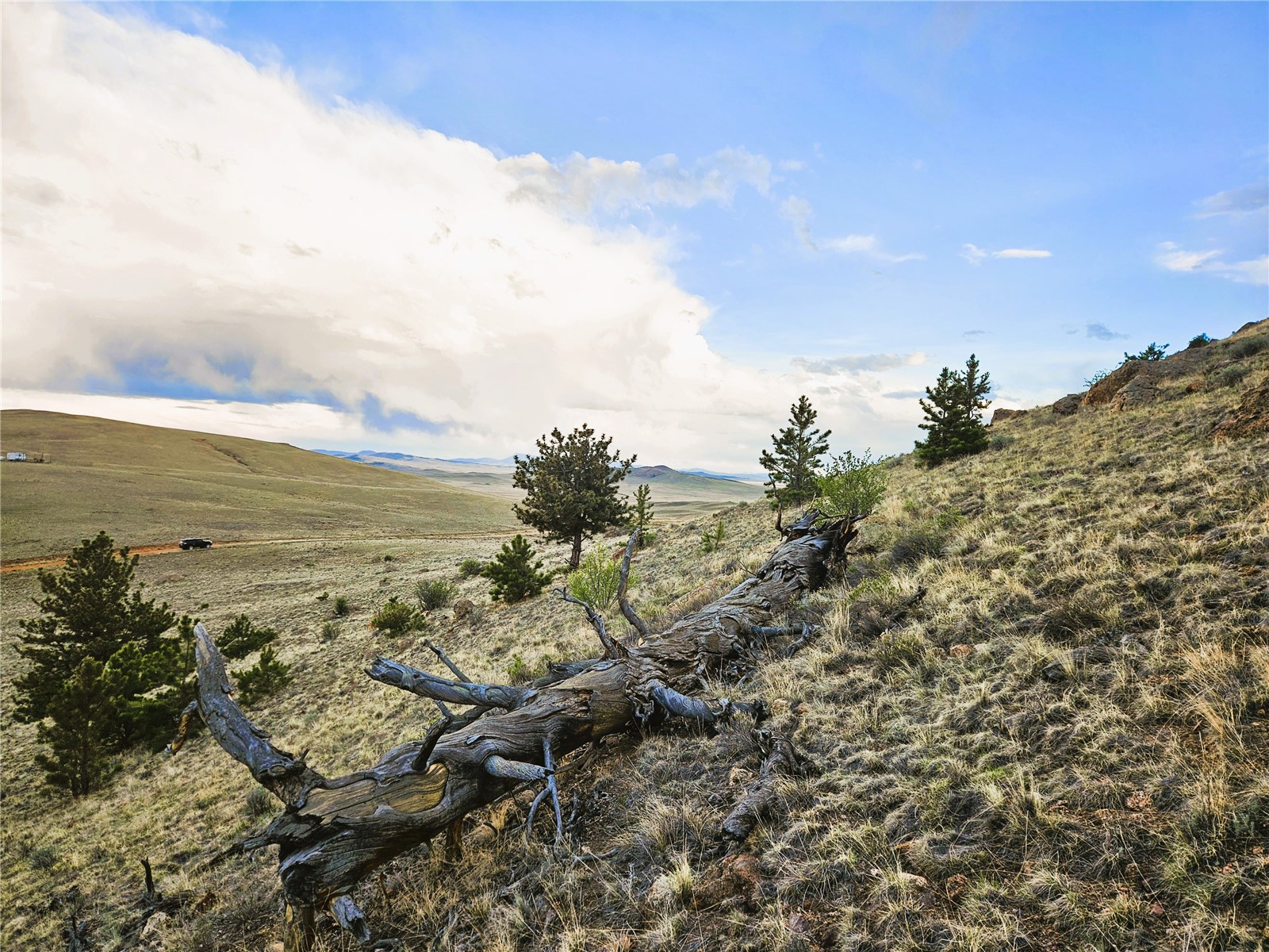 Pcs#25468 Sioux Road Hartsel, CO 80449 - Photo 7 of 23