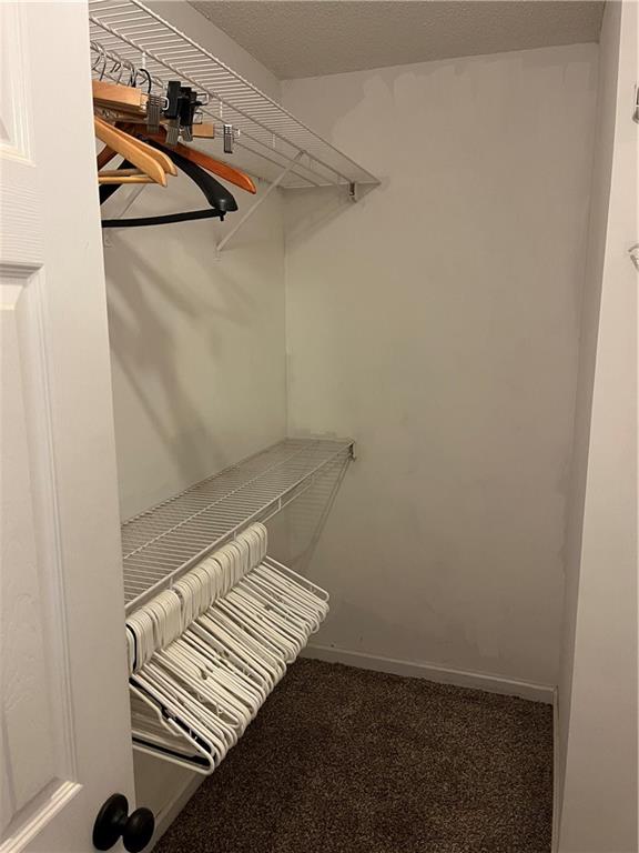 111 Green Point Way Carrollton, GA 30117 - Photo 17 of 29 a view of a room with racks on the wall