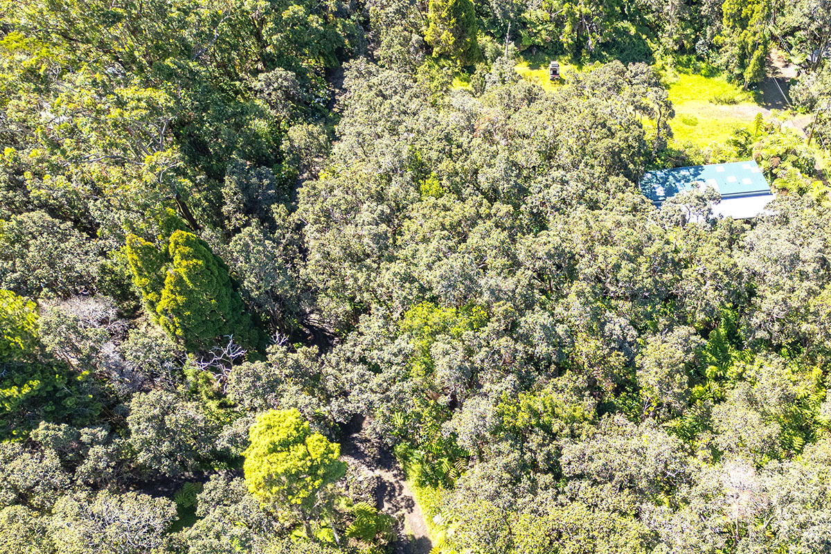 150 Lot Volcano, HI 96785 - Photo 11 of 12 Gallery Image 11