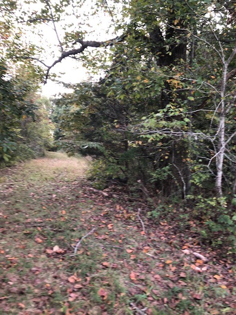 0 Cowhorne Hollow Road Prospect, TN 38477 - Photo 7 of 8 Gallery Image 7