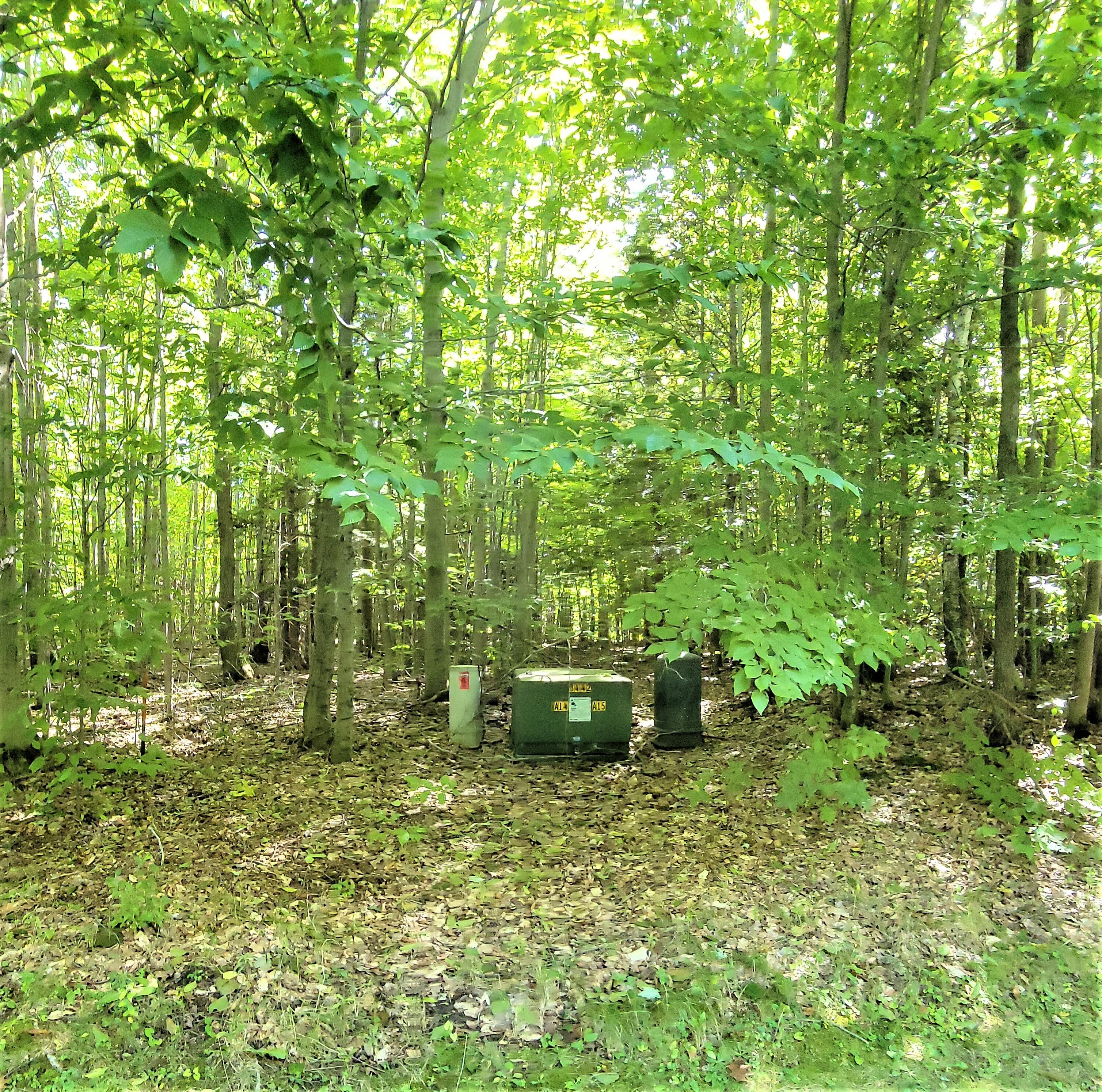 Opal Ridge Drive Onekama, MI 49675 - Photo 2 of 24 utility