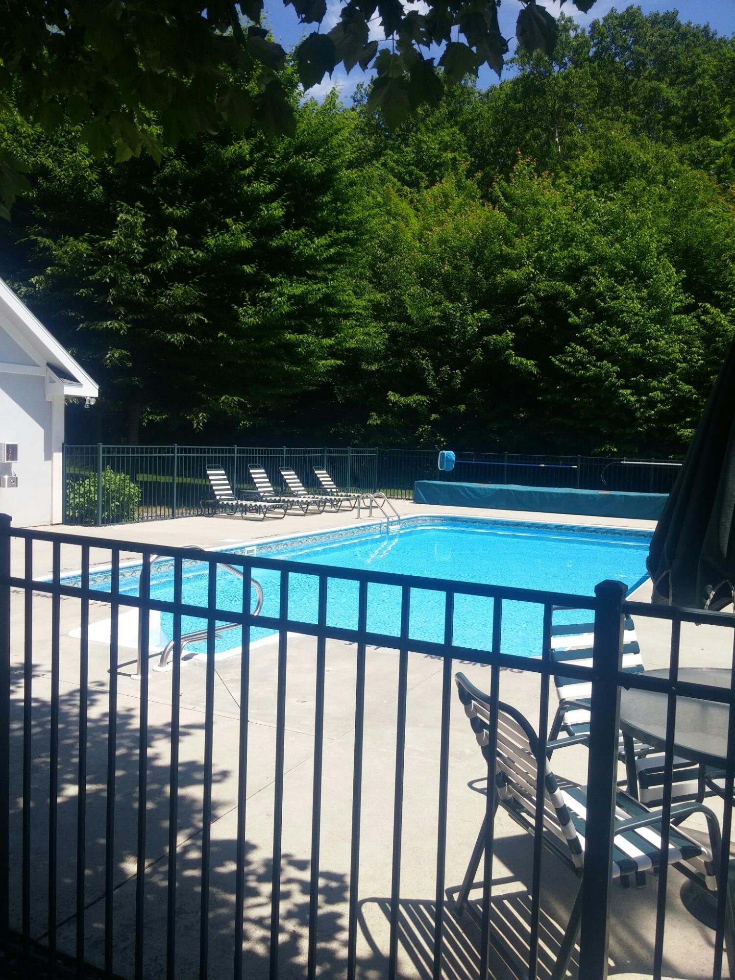 Opal Ridge Drive Onekama, MI 49675 - Photo 8 of 24 Community Pool